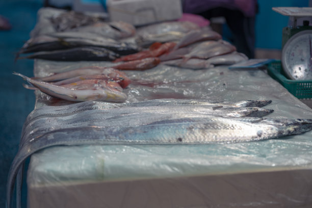韩国市场的鱼摊图片下载