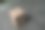 空白的棕色硬纸板照片图片下载