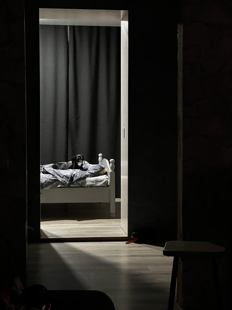 黑色背景上的黑狗图片下载