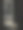 黑色背景上的黑狗图片下载