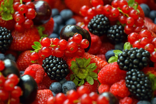 水果的全框架照片图片下载