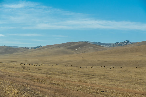 蒙古中部胡斯泰国家公园胡斯泰山脉景观图片下载