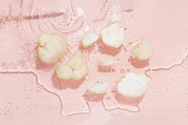 狮子的鬃毛碎片漂浮在水中。孤立的粉彩粉色背景与飞溅。夏季食物概念。平的。前视图。药用食用菌。太阳和阴影。图片下载