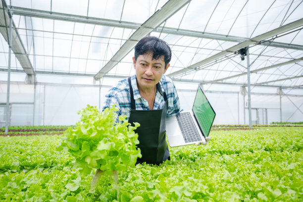 男农民用手提电脑检测温室蔬菜水培质量。蔬菜健康食品的概念。智能农场利用技术种植商业水力农产品。图片下载