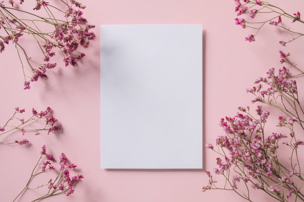 白色空白问候或邀请卡与粉红色干植物装饰粉红色的背景。模拟演示。图片下载
