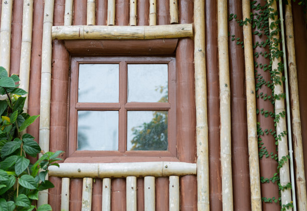 外面木屋的窗户上爬满了美丽的树木。图片下载