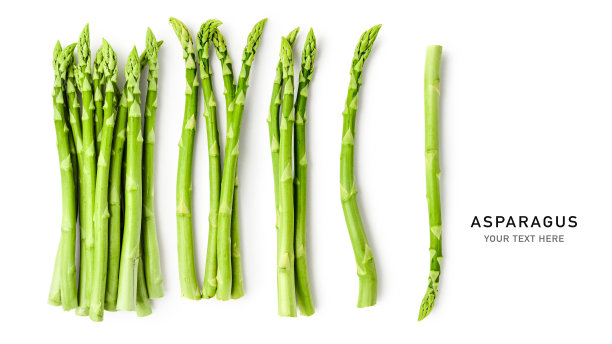 新鲜的绿色芦笋创意布局孤立在白色背景图片下载