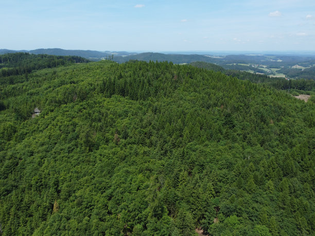 德国法尔肯施泰因附近的巴伐利亚森林鸟瞰图图片下载
