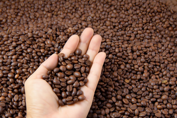 女性的手拿着形状的咖啡豆图片下载