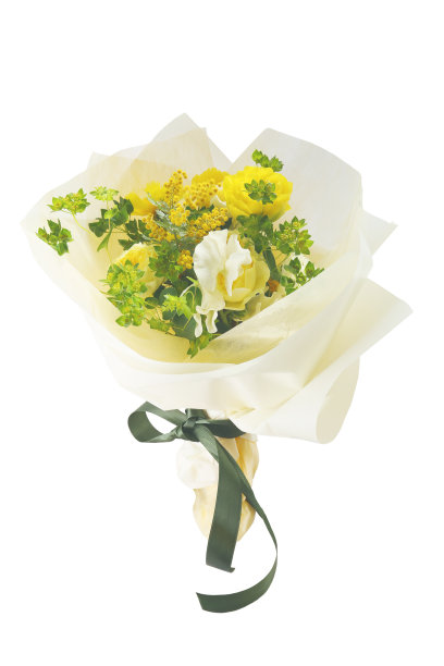 一束黄色和绿色的花被隔离在白色的背景上图片下载