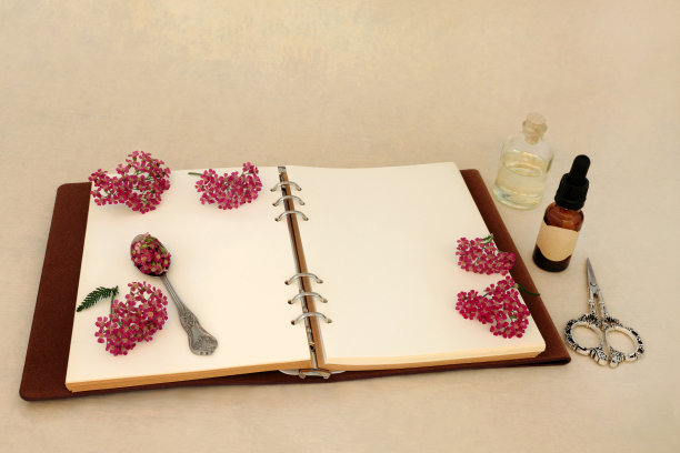 阿喀琉叶花草药制剂图片下载