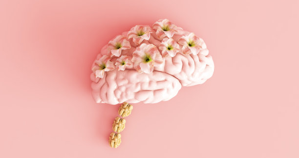 核桃有益大脑健康——积极心态图片下载