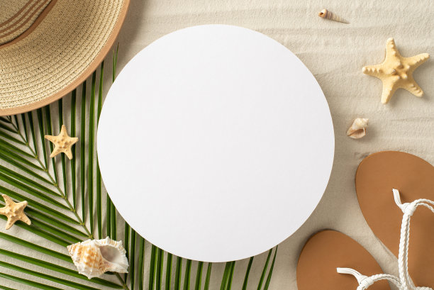夏季海滩度假概念。空圈的俯视图照片，被贝壳和海星包围，棕榈叶在沙子上，孤立的背景与copyspace图片下载