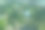 鸟瞰双塔附近的公园，吉隆坡，马来西亚，亚洲图片下载