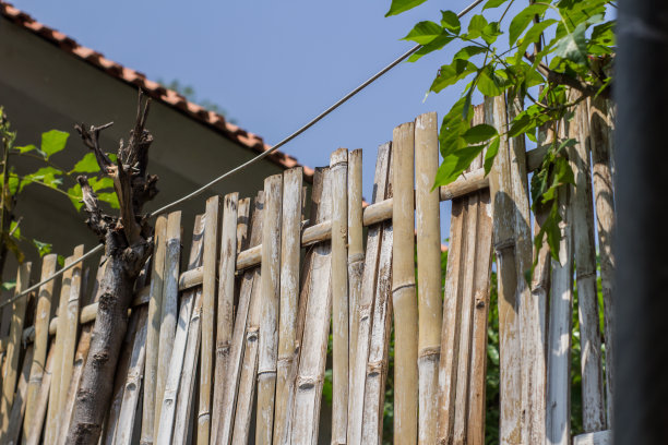 非常坚固的竹栅栏图片下载