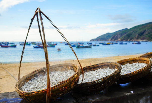 在沙滩上晒鱼图片下载