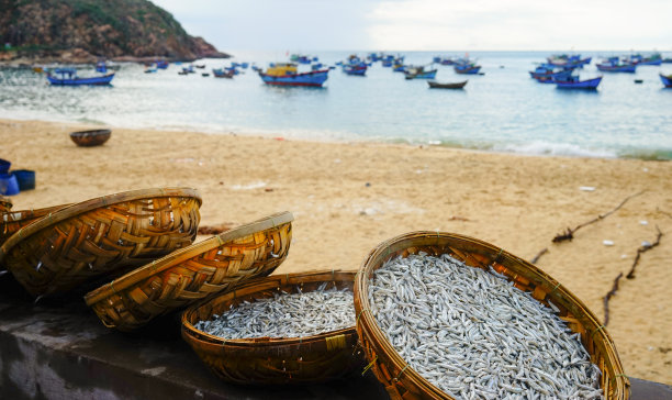 在沙滩上晒鱼图片下载