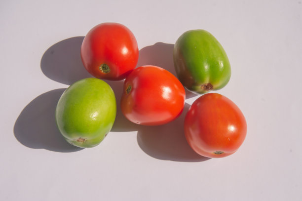 新鲜的西红柿图片下载