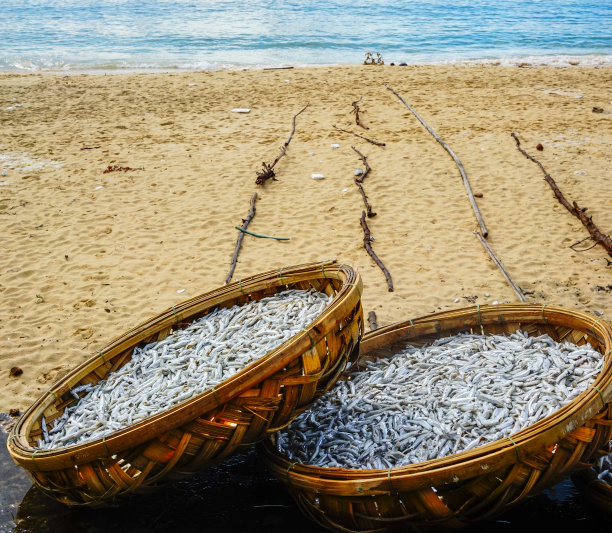 在沙滩上晒鱼图片下载