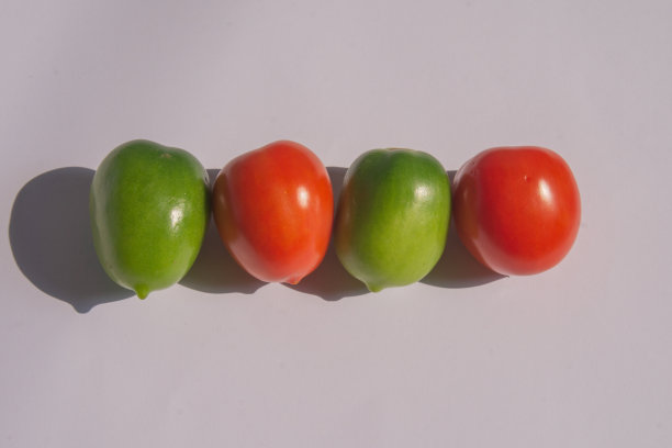 新鲜的西红柿图片下载