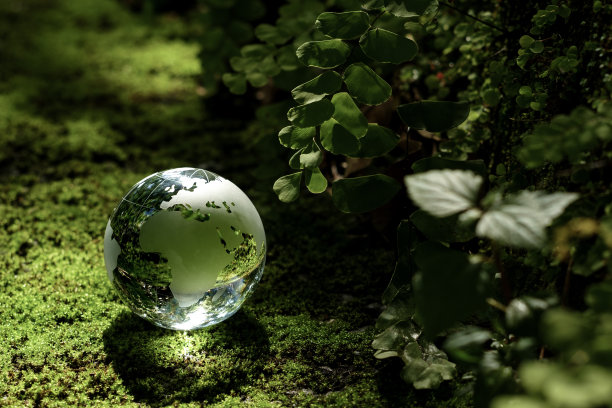 Environmentnet图片下载