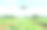 蔬菜绿色植物无人机施肥，农业技术，农场自动化。图片下载