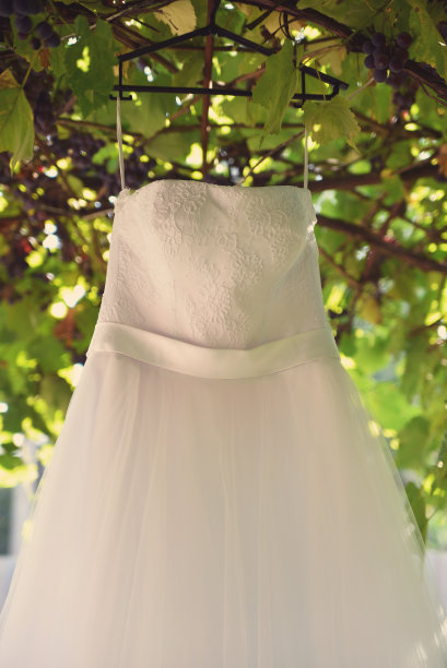 乌克兰人民的婚礼传统和习俗，鞋子，衣服，珠宝，鲜花，风景的一系列照片图片下载