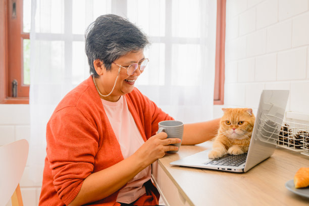 快乐的老人和她的猫一起使用笔记本电脑的画像。快乐的退休老妇人图片下载