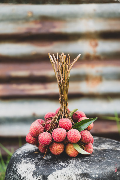荔枝果与垃圾背景，热带水果在夏季图片下载