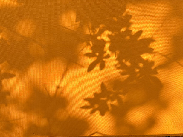 橙色织物上的明暗日落图片下载