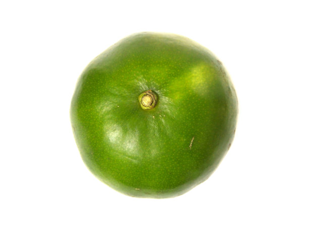 白色背景上孤立的橘红色果实特写。图片下载