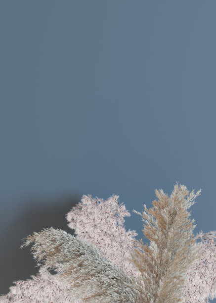 垂直背景与干植物和空白空间的文字。带复制空间的底部边框。逼真的潘帕斯草原。3 d渲染。图片下载