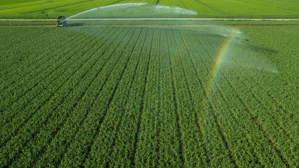 可持续性:农业灌溉在干旱的冬天后补充作物的迷人景色图片下载
