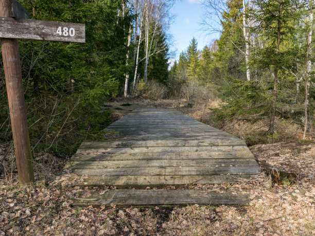 在湖边野餐的照片图片下载