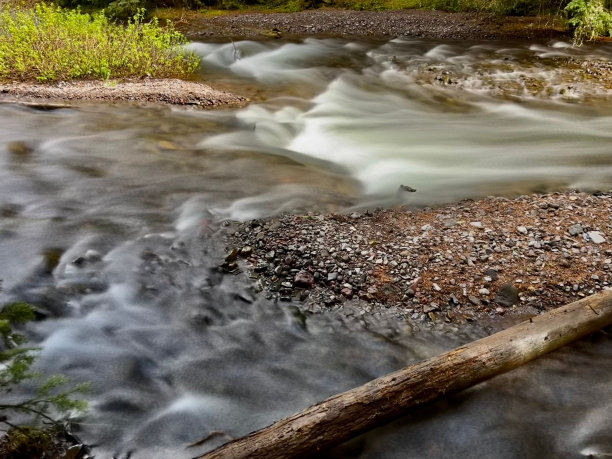 一条小溪在树下流淌，上面有岩石图片下载