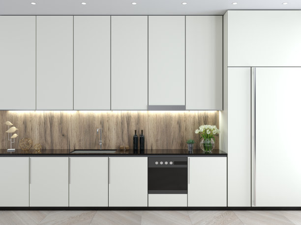 现代白色厨房斯堪的纳维亚风格的阁楼立面图片下载