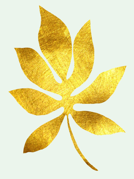 金色的热带树叶在孤立的白色背景上的插图，水彩画。图片下载