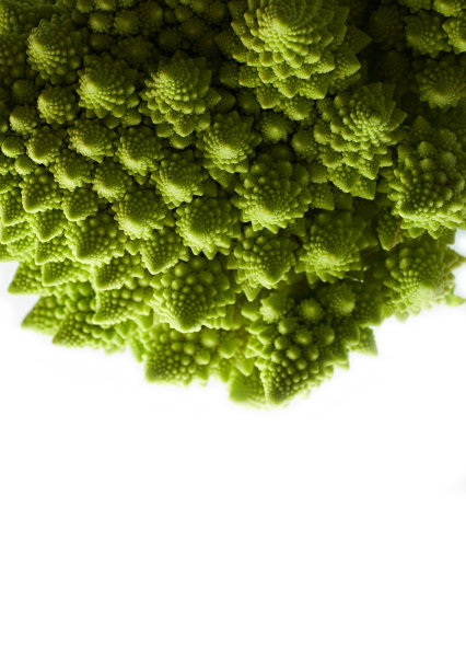 具有新鲜的罗马花椰菜和卷心菜的质感，具有天然的食物背景。白色孤立的罗马白菜。图片下载