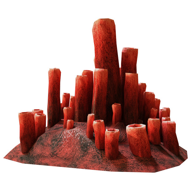 3D渲染珊瑚在白色图片下载