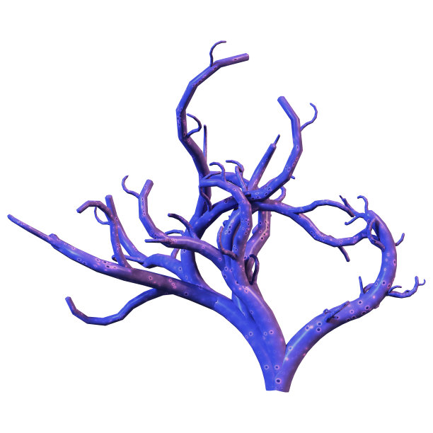 3D渲染珊瑚在白色图片下载