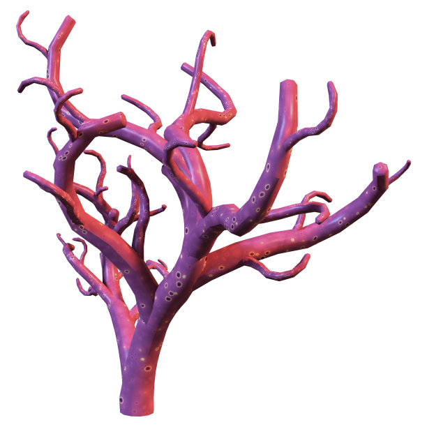 3D渲染珊瑚在白色图片下载