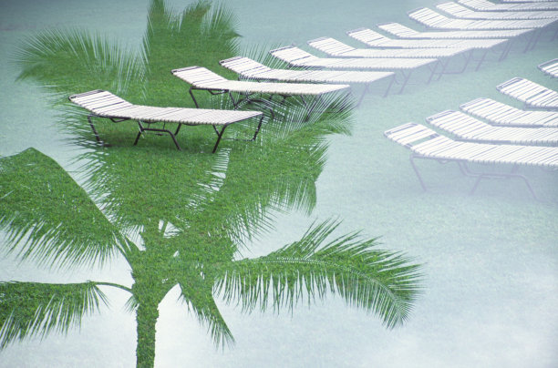 棕榈树和躺椅图片下载