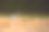 一只白鹭在纳拉亚尼河上日出，美妙的橙色气氛——尼泊尔图片下载