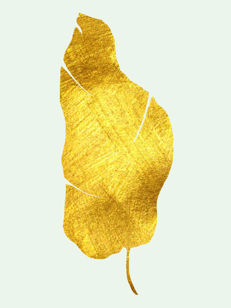 金色的热带树叶在孤立的白色背景上的插图，水彩画。图片下载