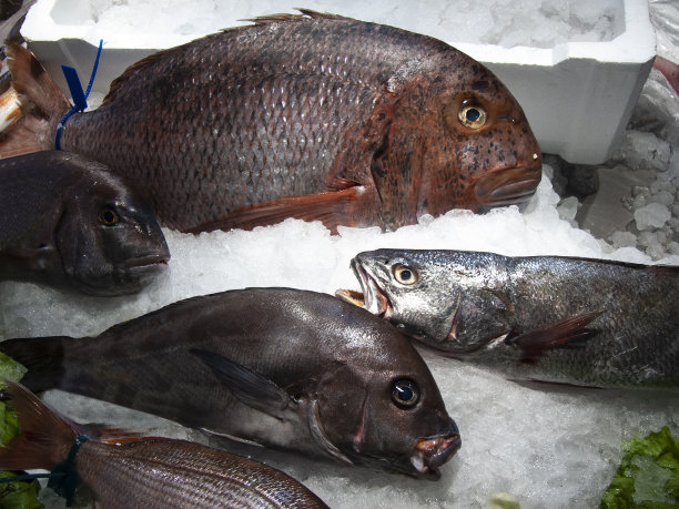 鱼市场图片下载