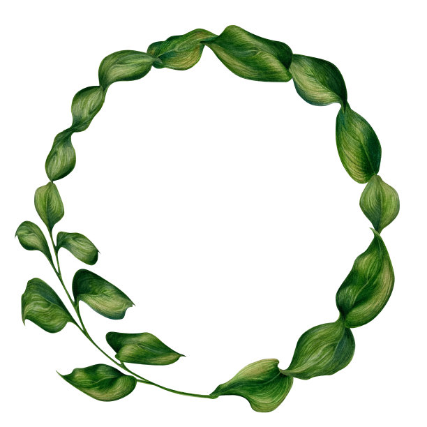 手绘水彩框架绿色的草，树叶，树枝，树叶春夏婚礼，生日，贺卡，菜单，横幅，边框。绿色背景的无缝图案。图片下载