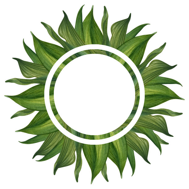 手绘水彩框架绿色树枝与树叶春夏聚会，美丽，婚礼，生日，贺卡，菜单，横幅，边界。元素被隔离在白色背景上图片下载