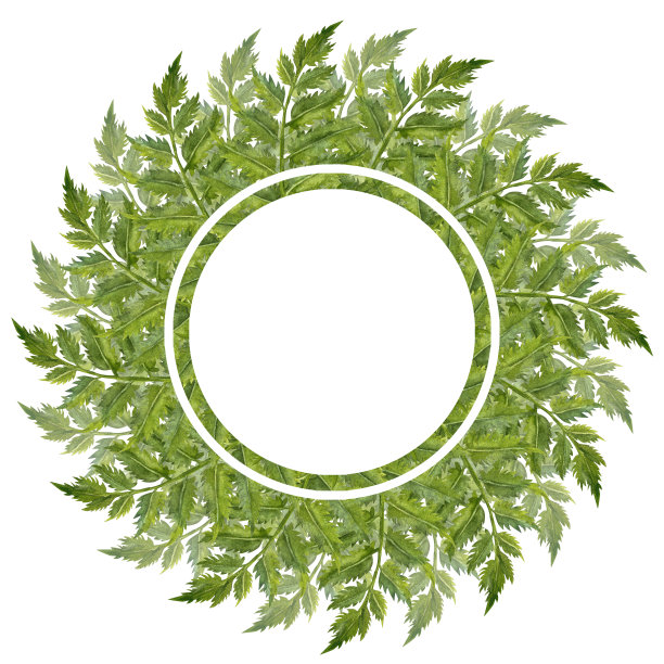 手绘水彩框架绿色树枝与树叶春夏聚会，美丽，婚礼，生日，贺卡，菜单，横幅，边界。元素被隔离在白色背景上图片下载