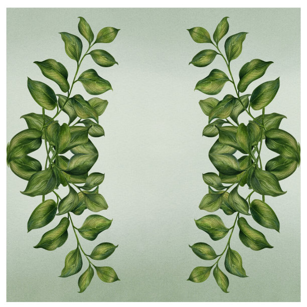 手绘水彩框架绿色的草，树叶，树枝，树叶春夏婚礼，生日，贺卡，菜单，横幅，边框。绿色背景的无缝图案。图片下载