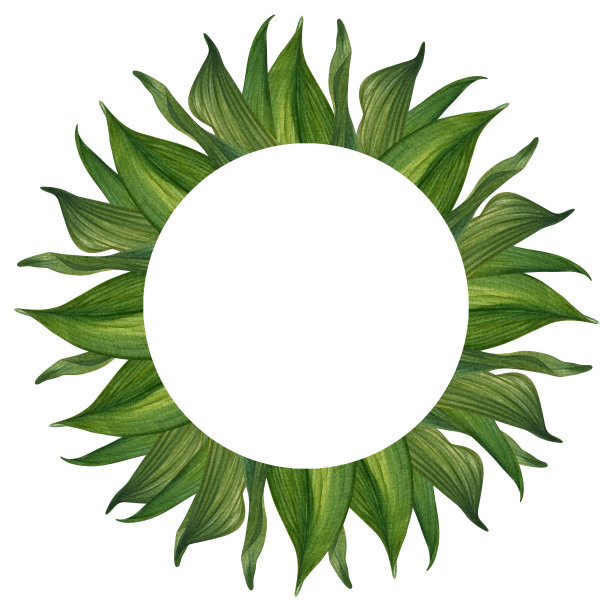 手绘水彩框架绿色树枝与树叶春夏聚会，美丽，婚礼，生日，贺卡，菜单，横幅，边界。元素被隔离在白色背景上图片下载